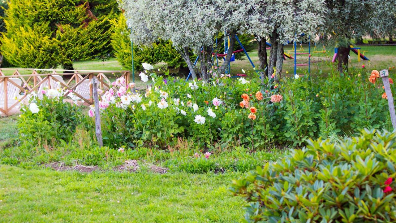 Hotel Y Cabanas Molino Viejo Puerto Varas Exteriér fotografie